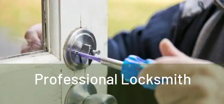  Professional Locksmith 